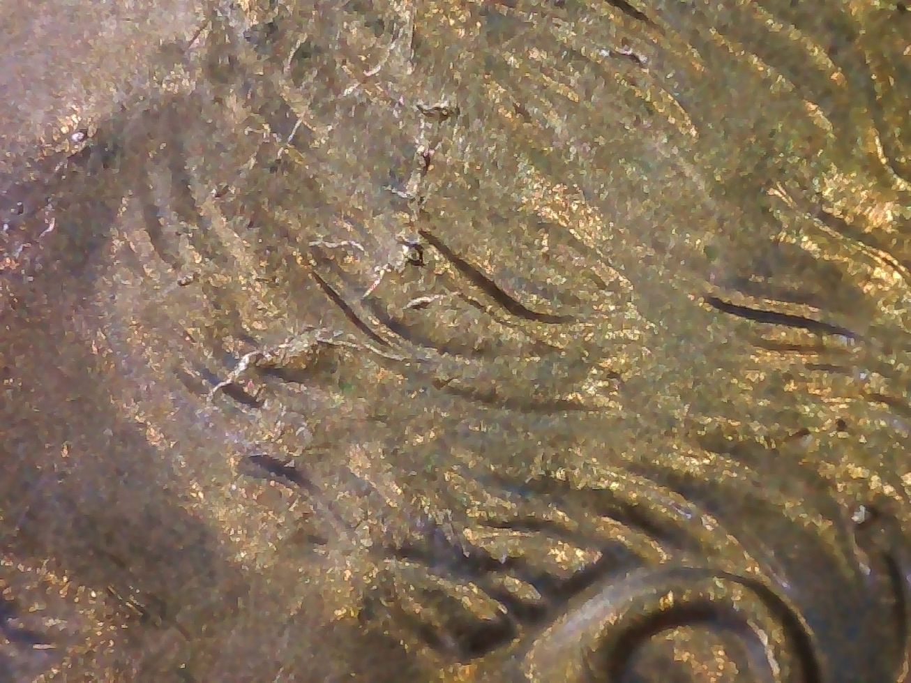 2021-Dime,-Whats-Going-On?